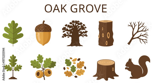 Oak tree forest ecosystem elements icons.