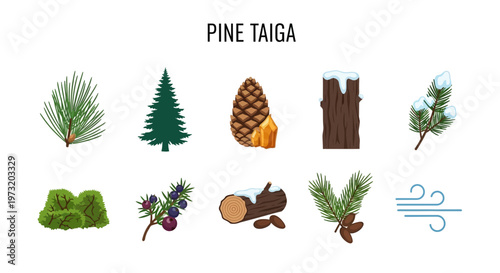 Pine tree taiga forest ecosystem elements.