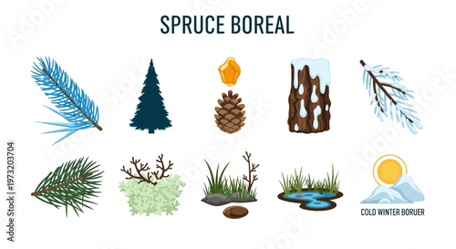 Spruce Boreal Forest Elements Icons.