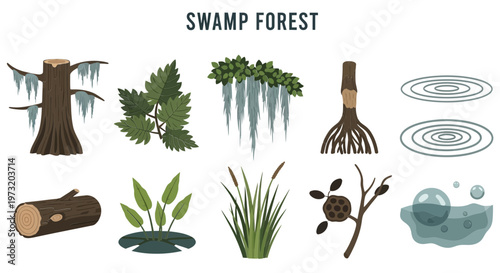 Icon Set of Swamp forest ecosystem illustration set.
