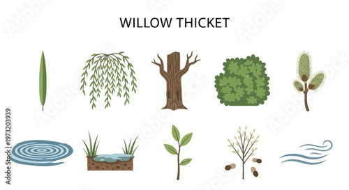 Willow thicket plants and trees.