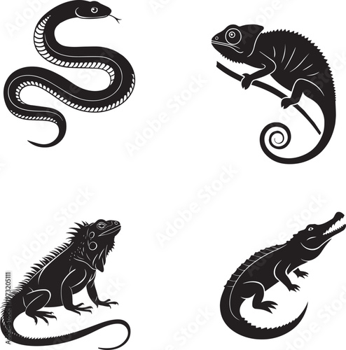 Illustrative depiction of various australian animals including a seal koala and platypus