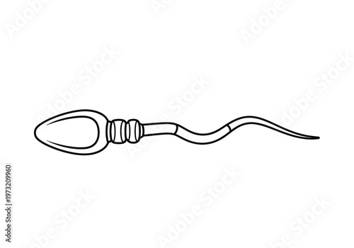 Detailed one line drawing of a human sperm cell, representing fertility and reproduction
