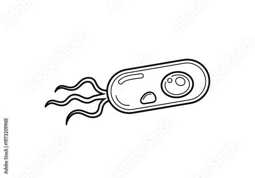 Microscopic bacterium outline drawing with flagella for microbiology and science concepts