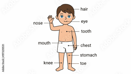 Educational Illustration of Boy Body Parts with Wrong Word Labels