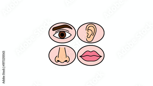 Human Face Parts Icon Set including Eye Ear Nose and Lips