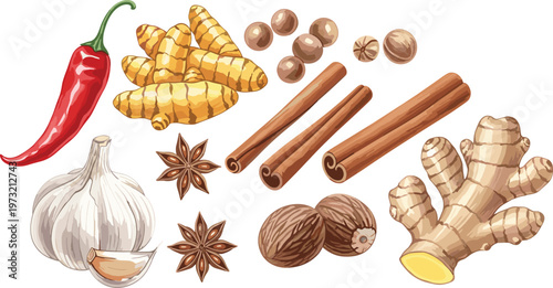Assorted Spice Ingredients Featuring Red Chili, Cinnamon Sticks, Ginger, Garlic, Nutmeg, and Star Anise for Cooking and Culinary Arts
