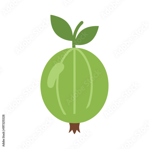 Green Gooseberry Fruit with Leaves and Stem Illustration.