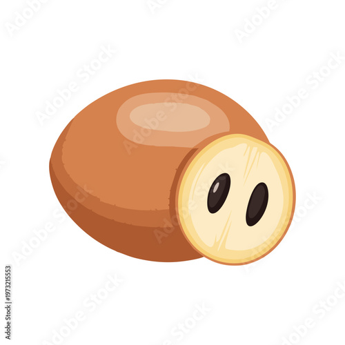 Illustration of a Sapodilla Fruit and Slice.