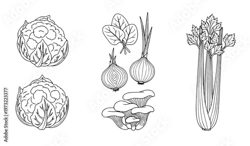 Minimal vegetable line icons cauliflower spinach onion mushroom celery black and white vector illustration isolated on white