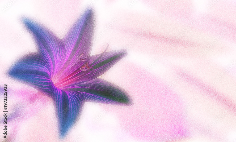 Fototapeta premium Grain texture effect, botanical graphic background of flowers.