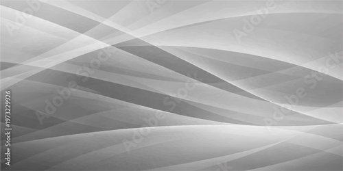 Abstract Gray Lines background that shows a dynamic composition of flowing lines and shapes.