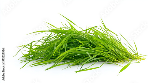 fresh green grass