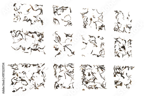 Bild auf Leinwand Abstract Collection of Twelve Square Panels Featuring Delicate Line Fragments Formed from Dried Tea Leaves on a Deep Black Background, Each panel presents an artistic arrangement