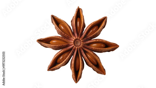 Isolated detailed view of a whole star anise spice pod with open segments and dark seeds