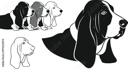 Basset hound portraits a collection of black and white canine illustrations