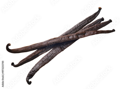 Quadro su tela Isolated collection of dark brown aromatic vanilla pods, essential spice for baking and gourmet flavoring