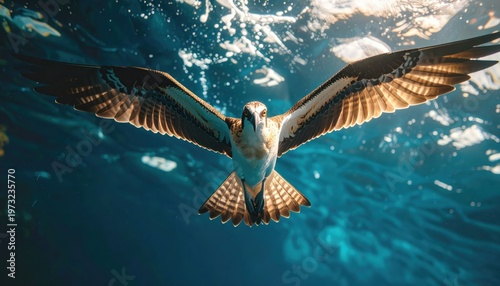 Majestic osprey diving gracefully beneath the ocean surface with outstretched wings