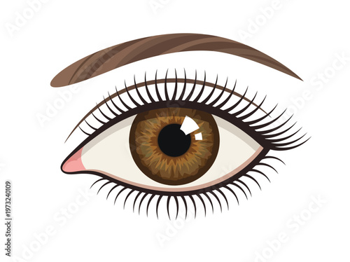Flat feminine eye with brown iris, long lashes, clean outline, refined beauty minimal design style