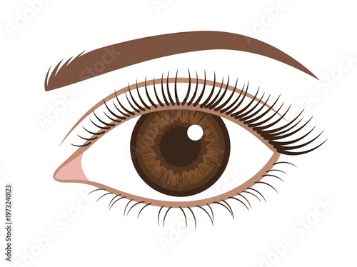Flat feminine eye with brown iris, long lashes, clean outline, refined beauty minimal design style
