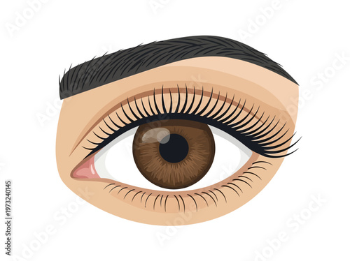 Flat feminine eye with brown iris, long lashes, clean outline, refined beauty minimal design style
