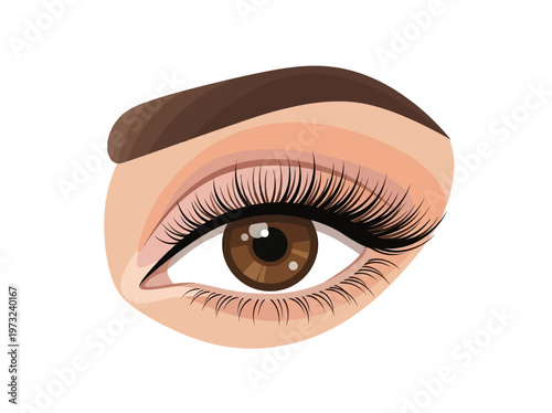 Flat feminine eye with brown iris, long lashes, clean outline, refined beauty minimal design style