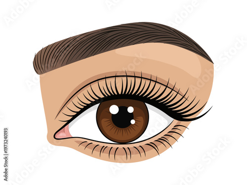 Flat feminine eye with brown iris, long lashes, clean outline, refined beauty minimal design style