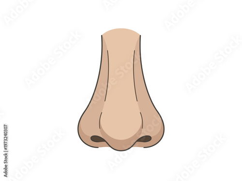 Flat human nose front view, soft contours, smooth shading, clean minimal beauty illustration design