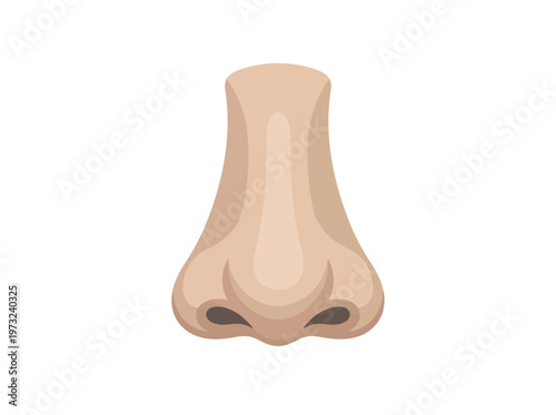 Flat human nose front view, soft contours, smooth shading, clean minimal beauty illustration design