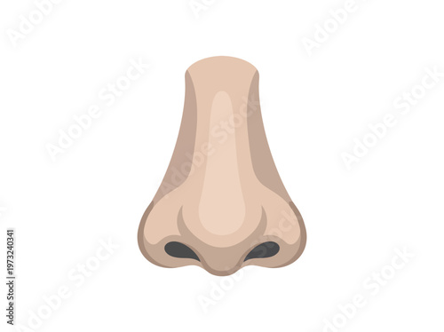 Flat human nose front view, soft contours, smooth shading, clean minimal beauty illustration design