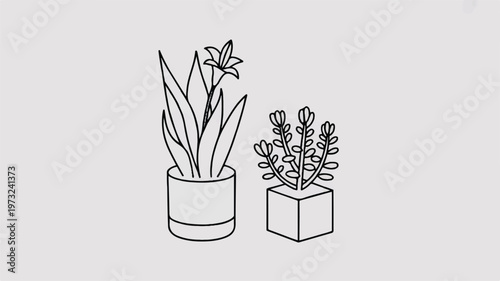 Two potted plants with flowers and leaves on a light grey background