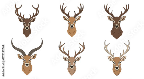 Collection of six distinct deer head illustrations, showcasing diverse antlers and facial features in a simple, graphic style