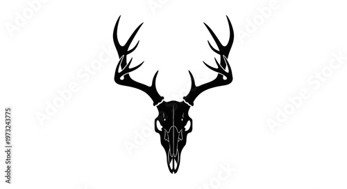 Deer Skull Silhouette with Antlers - Vector Graphic Illustration