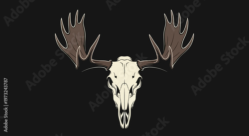 A striking illustration of a moose skull with large antlers, set against a dark background, representing the wild