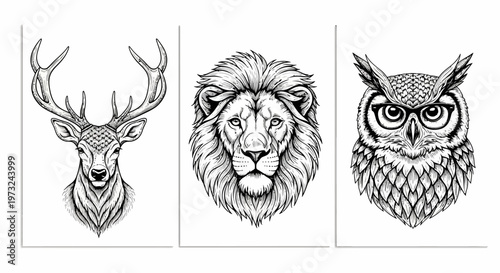Set of three striking black and white illustrations of animal heads a majestic deer, a powerful lion, and a wise owl wearing glasses