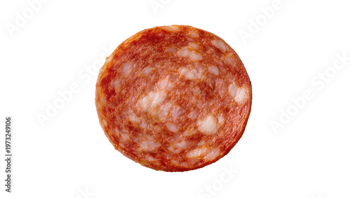 Canvas-taulu Isolated single round slice of delicious spicy salami pepperoni sausage food ing