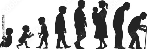 Silhouette of Human Life Stages from Baby to Elderly Person on White Background Keywords: life, stages, human, evolution, growth