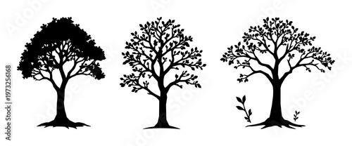 Money tree icon set with solid black icon on white background featuring passive income, finance, investment with icons and graphics