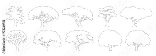 CAD Tree Front View, Architectural Landscape Tree Elevation, AutoCAD Tree Block Line Drawing Vector