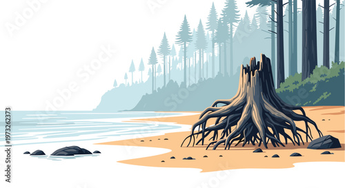 A massive weathered tree stump with intricate sprawling roots rests on a golden sandy beach against a backdrop of misty evergreen forest and calm water.