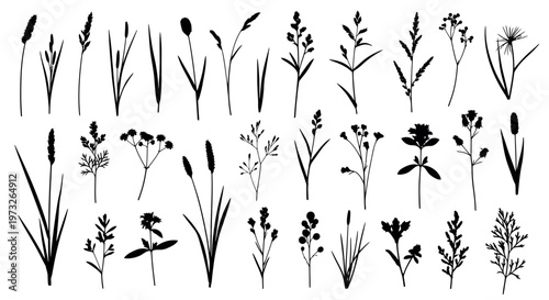 minimalist black wild grass and weeds isolated on white background vector illustration