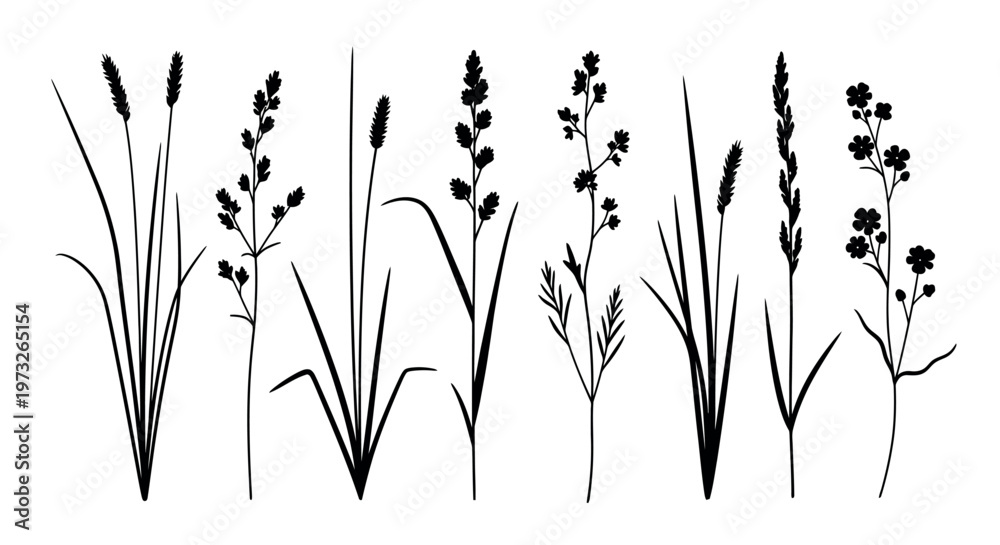 Fototapeta premium Minimalist wheat stalks illustration on white background for design elements