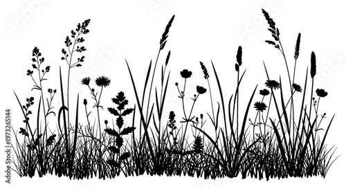 minimalist wildflower meadow illustration with black ink sketch style