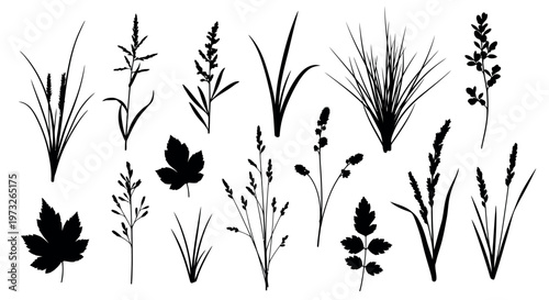 minimalist cannabis plant illustration on white background for design