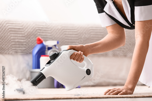 Housemaid steam cleaning ca...