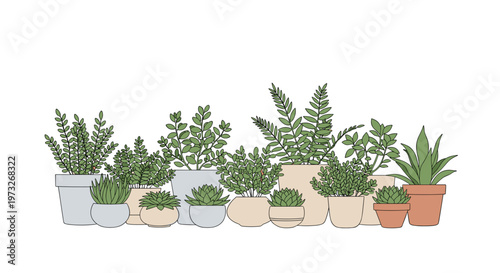 A diverse assortment of lush green indoor plants including ferns and succulents are neatly arranged in various neutral-toned ceramic pots on a white backdrop.