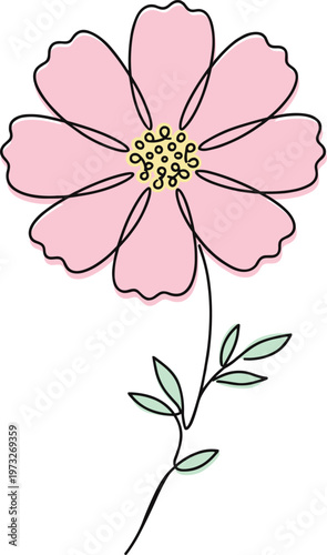 A delicate pink cosmos blossom, elegantly drawn with a single continuous line, on a clean white background / transparent. Vector