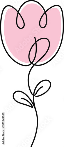 A delicate pink tulip flower is elegantly illustrated with a single continuous line drawing, isolated on a clean white background / transparent. Vector