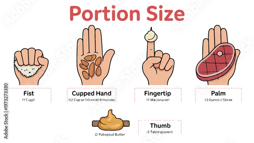 Educational diagram showing various portion sizes using hand measurements