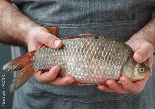 Cook holds a fresh raw crucian in his hands. River organic fish. Selective focus